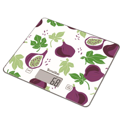 TERRAILLON BALANCE T1040 FRUIT FIGUE